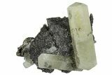 Calcite Crystals with Chalcopyrite - Incredible Specimen! #260484-1